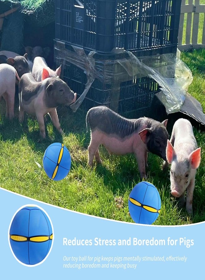 OOXYG Pig Toy - Toy for Pigs, Interactive Pig Flying Saucer Disc Ball Toys with 6 Lights for Mini Pigs, Enrichment Play for Pet Pigs Supplies Enjoyment and Fun - Image 2